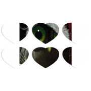 Магнитные фотопазлы Сердце 50 на 50 набор 6 штук Christmas Owl