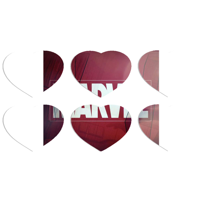 Магнитные фотопазлы Сердце 50 на 50 набор 6 штук 