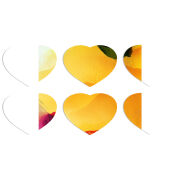 Магнитные фотопазлы Сердце 50 на 50 набор 6 штук 