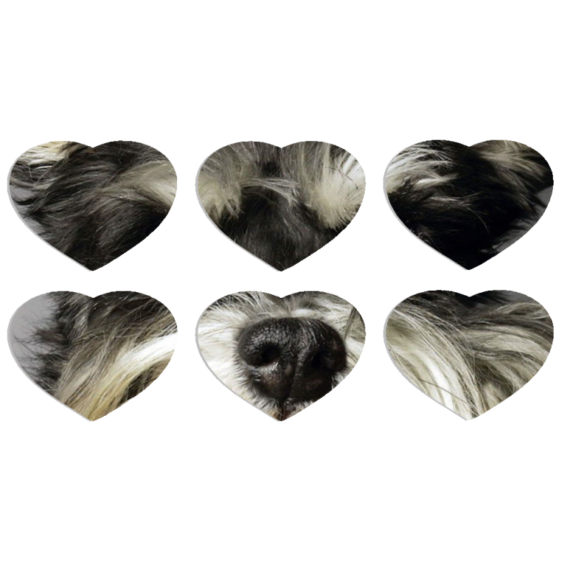 Магнитные фотопазлы Сердце 50 на 50 набор 6 штук Cursor