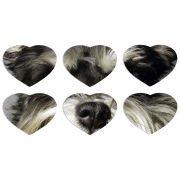 Магнитные фотопазлы Сердце 50 на 50 набор 6 штук Cursor