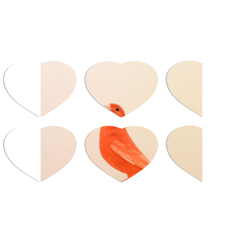 Магнитные фотопазлы Сердце 50 на 50 набор 6 штук 