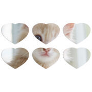 Магнитные фотопазлы Сердце 50 на 50 набор 6 штук Animation Kittens