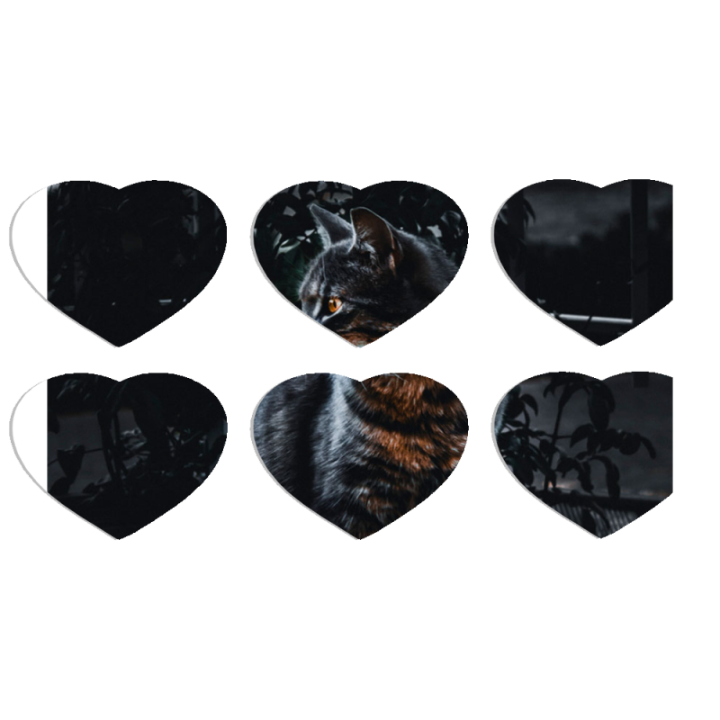 Магнитные фотопазлы Сердце 50 на 50 набор 6 штук 