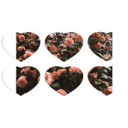 Магнитные фотопазлы Сердце 50 на 50 набор 6 штук 