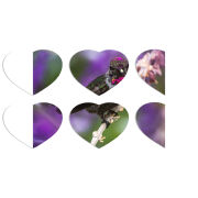 Магнитные фотопазлы Сердце 50 на 50 набор 6 штук 