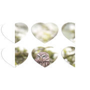 Магнитные фотопазлы Сердце 50 на 50 набор 6 штук 