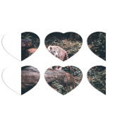 Магнитные фотопазлы Сердце 50 на 50 набор 6 штук 