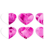 Магнитные фотопазлы Сердце 50 на 50 набор 6 штук Pink Flowers