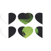 Магнитные фотопазлы Сердце 50 на 50 набор 6 штук 