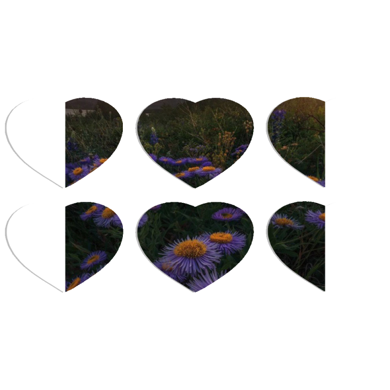 Магнитные фотопазлы Сердце 50 на 50 набор 6 штук 