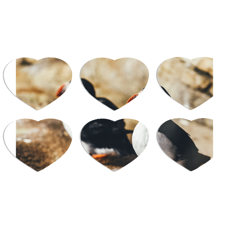 Магнитные фотопазлы Сердце 50 на 50 набор 6 штук 