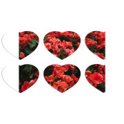 Магнитные фотопазлы Сердце 50 на 50 набор 6 штук 