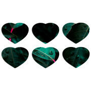 Магнитные фотопазлы Сердце 50 на 50 набор 6 штук 