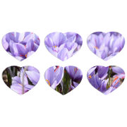 Магнитные фотопазлы Сердце 50 на 50 набор 6 штук 