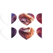 Магнитные фотопазлы Сердце 50 на 50 набор 6 штук 