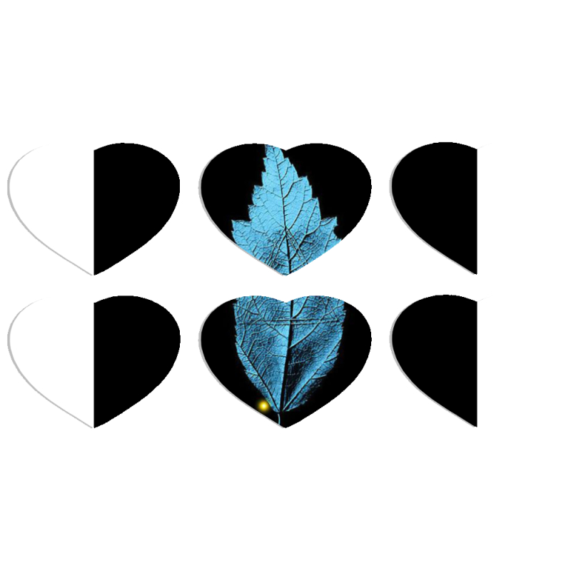 Магнитные фотопазлы Сердце 50 на 50 набор 6 штук 