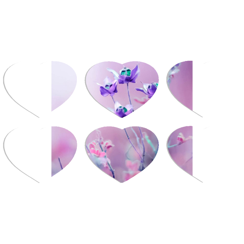 Магнитные фотопазлы Сердце 50 на 50 набор 6 штук 
