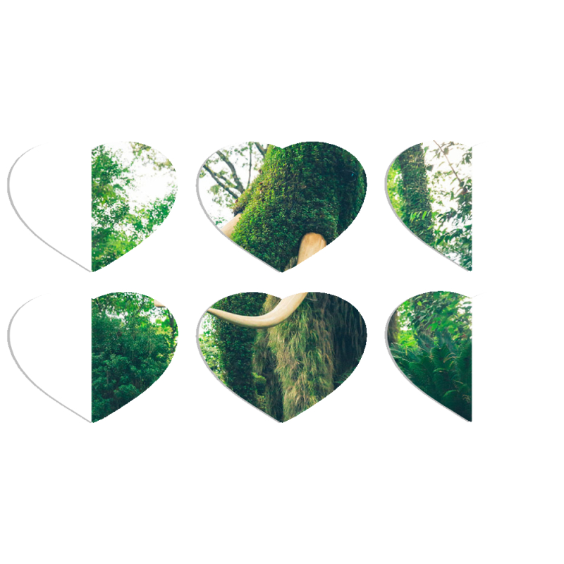 Магнитные фотопазлы Сердце 50 на 50 набор 6 штук 