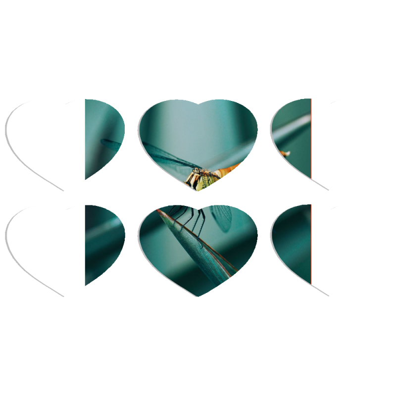 Магнитные фотопазлы Сердце 50 на 50 набор 6 штук 