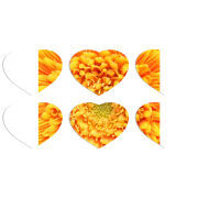 Магнитные фотопазлы Сердце 50 на 50 набор 6 штук 