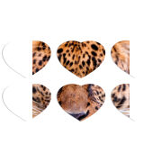 Магнитные фотопазлы Сердце 50 на 50 набор 6 штук 