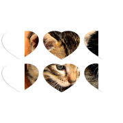 Магнитные фотопазлы Сердце 50 на 50 набор 6 штук 