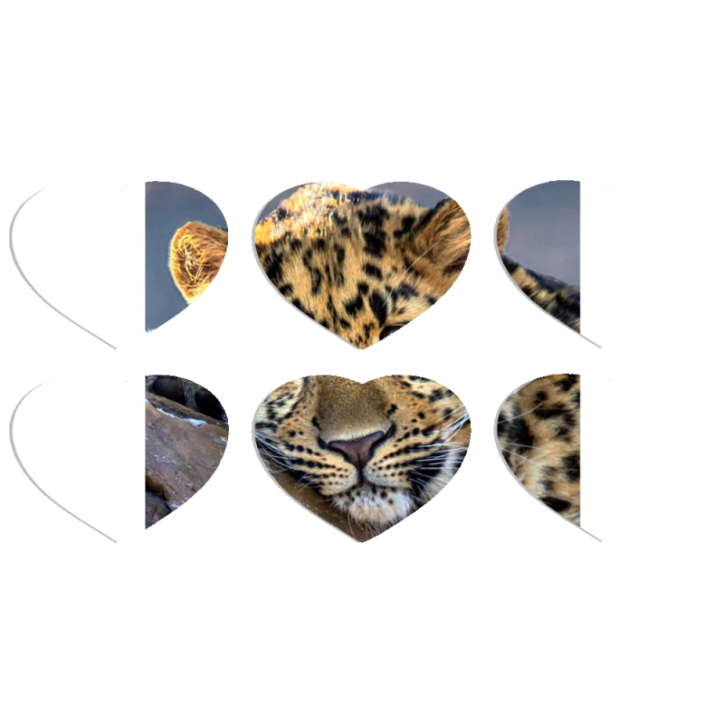 Магнитные фотопазлы Сердце 50 на 50 набор 6 штук 