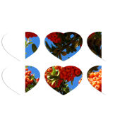 Магнитные фотопазлы Сердце 50 на 50 набор 6 штук 