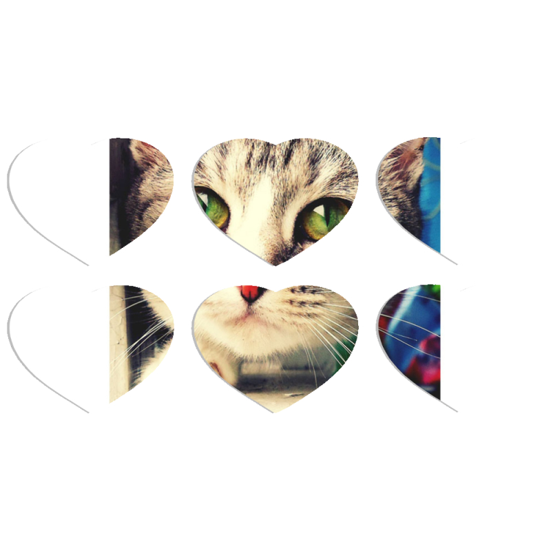 Магнитные фотопазлы Сердце 50 на 50 набор 6 штук 
