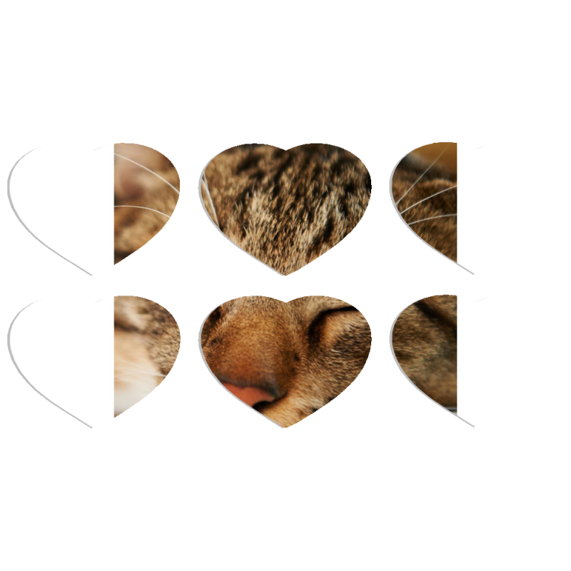 Магнитные фотопазлы Сердце 50 на 50 набор 6 штук 