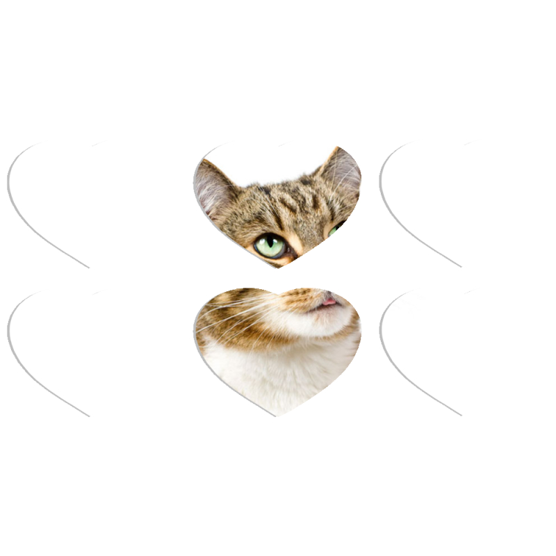 Магнитные фотопазлы Сердце 50 на 50 набор 6 штук 