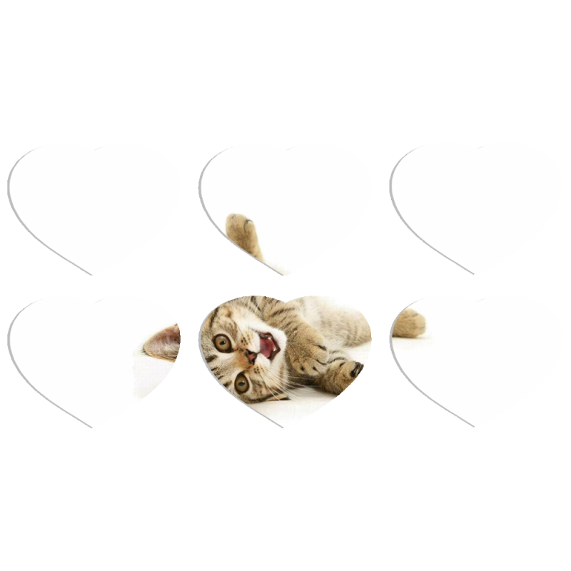 Магнитные фотопазлы Сердце 50 на 50 набор 6 штук 