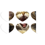 Магнитные фотопазлы Сердце 50 на 50 набор 6 штук 