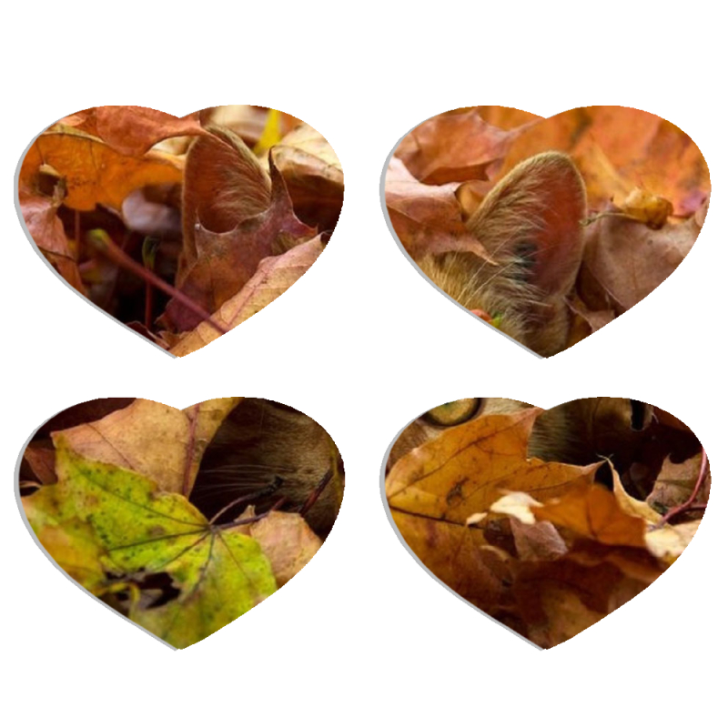 Магнитные фотопазлы Сердце 50 на 50 набор 4 штуки 