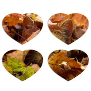 Магнитные фотопазлы Сердце 50 на 50 набор 4 штуки 