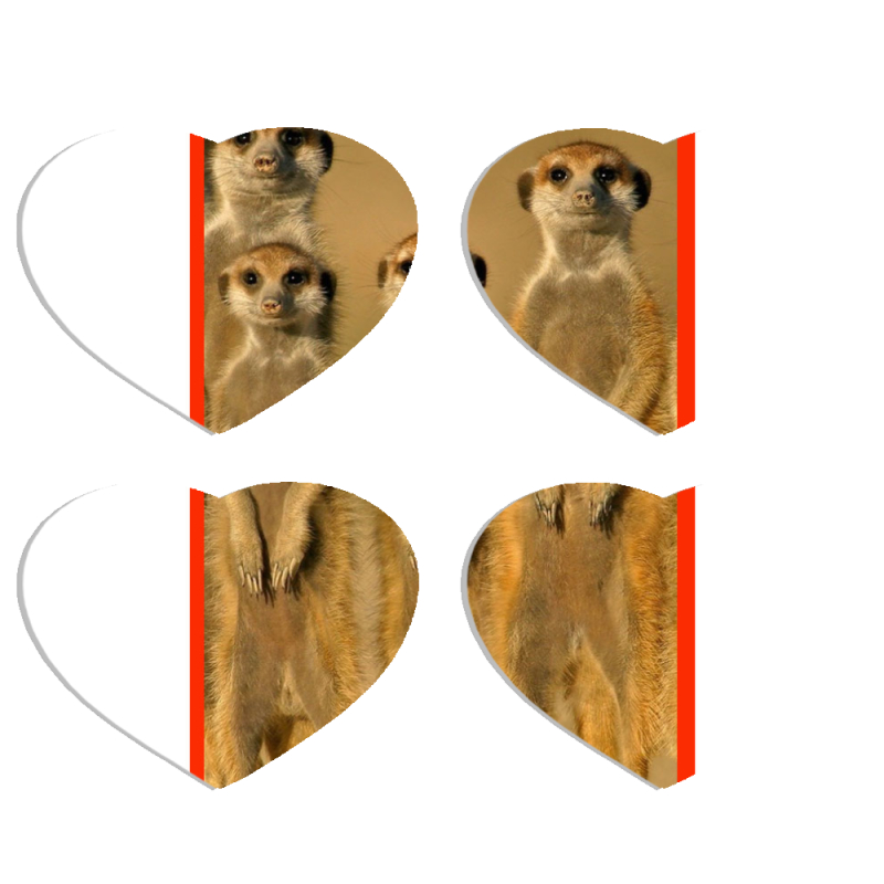 Магнитные фотопазлы Сердце 50 на 50 набор 4 штуки 