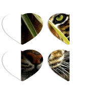 Магнитные фотопазлы Сердце 50 на 50 набор 4 штуки 