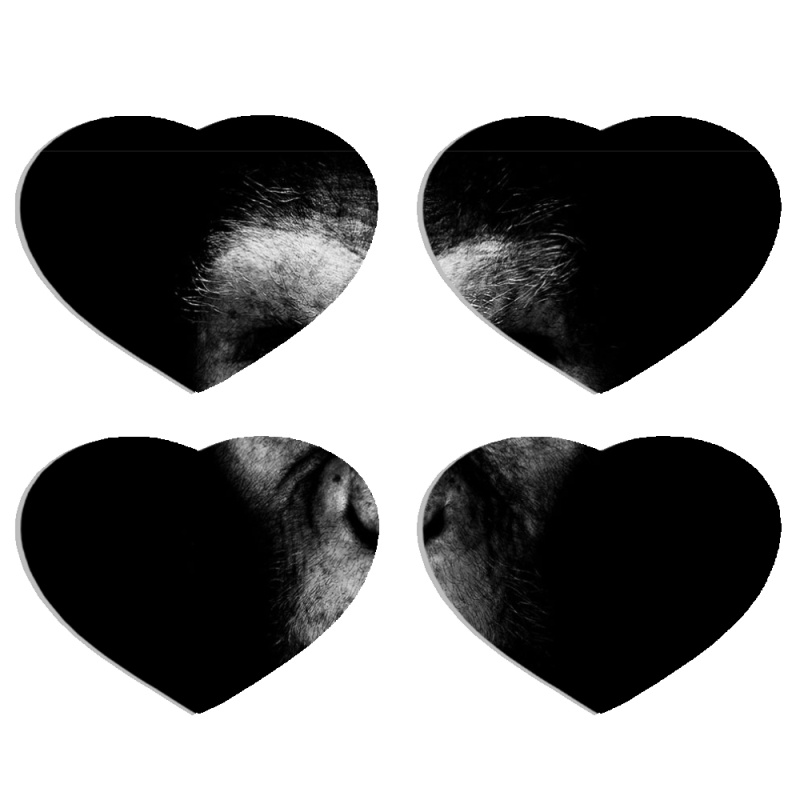 Магнитные фотопазлы Сердце 50 на 50 набор 4 штуки 