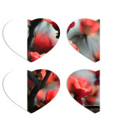 Магнитные фотопазлы Сердце 50 на 50 набор 4 штуки Awakening Spring