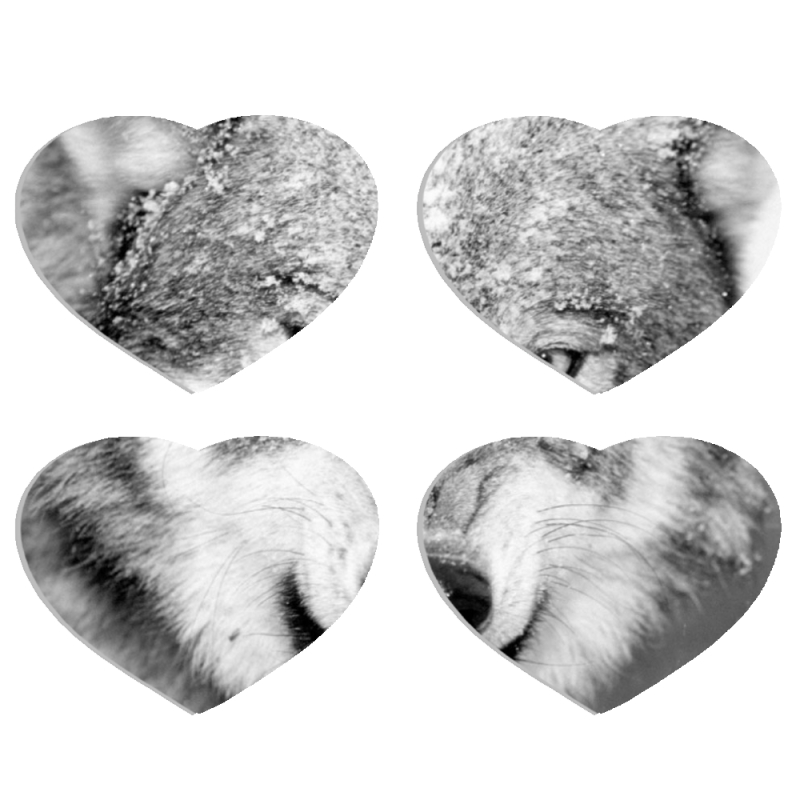 Магнитные фотопазлы Сердце 50 на 50 набор 4 штуки 