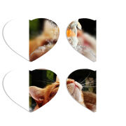 Магнитные фотопазлы Сердце 50 на 50 набор 4 штуки 