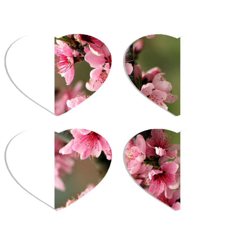 Магнитные фотопазлы Сердце 50 на 50 набор 4 штуки Вишневые Цветы