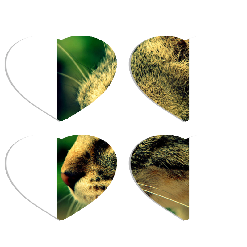 Магнитные фотопазлы Сердце 50 на 50 набор 4 штуки 