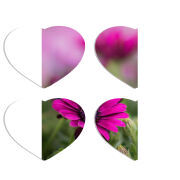 Магнитные фотопазлы Сердце 50 на 50 набор 4 штуки 