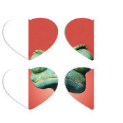 Магнитные фотопазлы Сердце 50 на 50 набор 4 штуки 