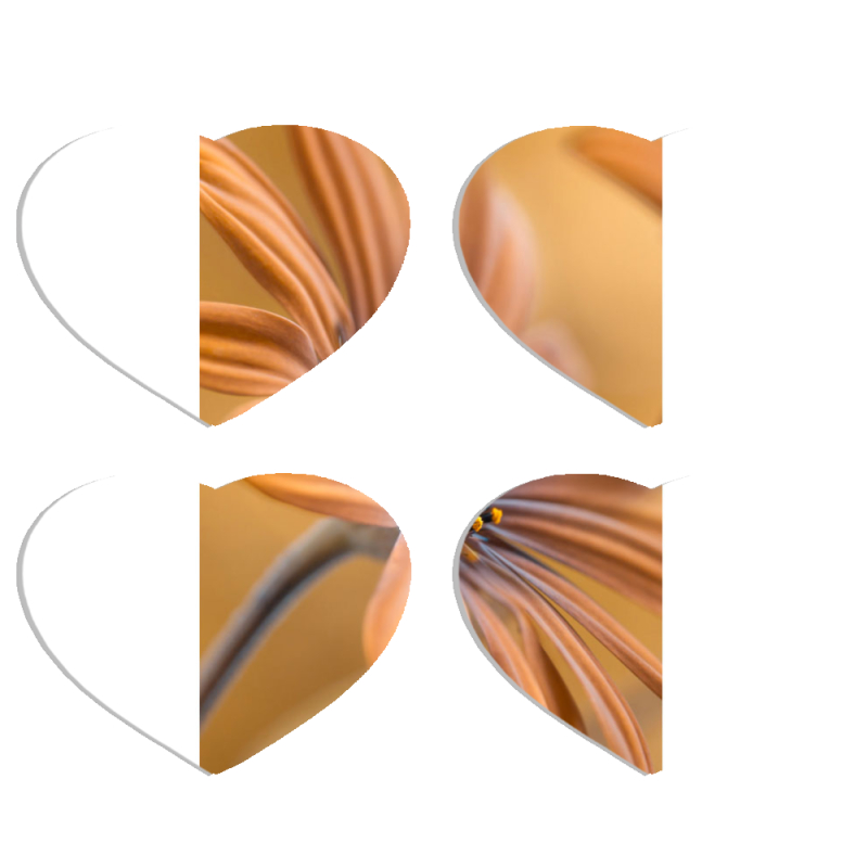 Магнитные фотопазлы Сердце 50 на 50 набор 4 штуки 