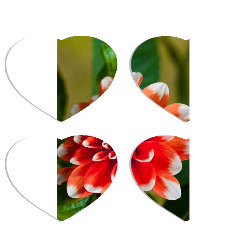 Магнитные фотопазлы Сердце 50 на 50 набор 4 штуки 