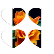 Магнитные фотопазлы Сердце 50 на 50 набор 4 штуки 