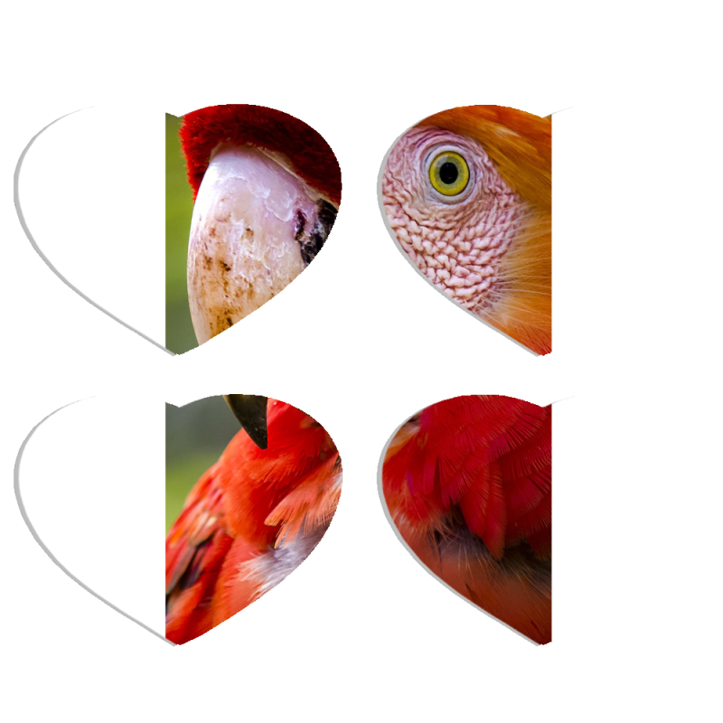 Магнитные фотопазлы Сердце 50 на 50 набор 4 штуки 